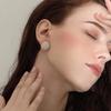 Elegant Crystal Earrings: Unique Design, Silver Needle Studs for Women - Versatile, Exquisite, High-End Accessories
