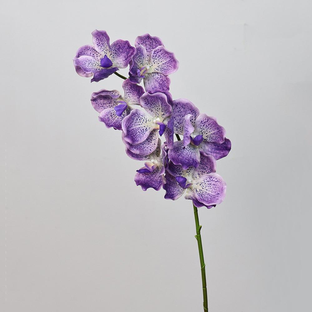 Plastic Phalaenopsis Branch Moisturizing Real Touch Orchids Simulation Flower  Office Decor