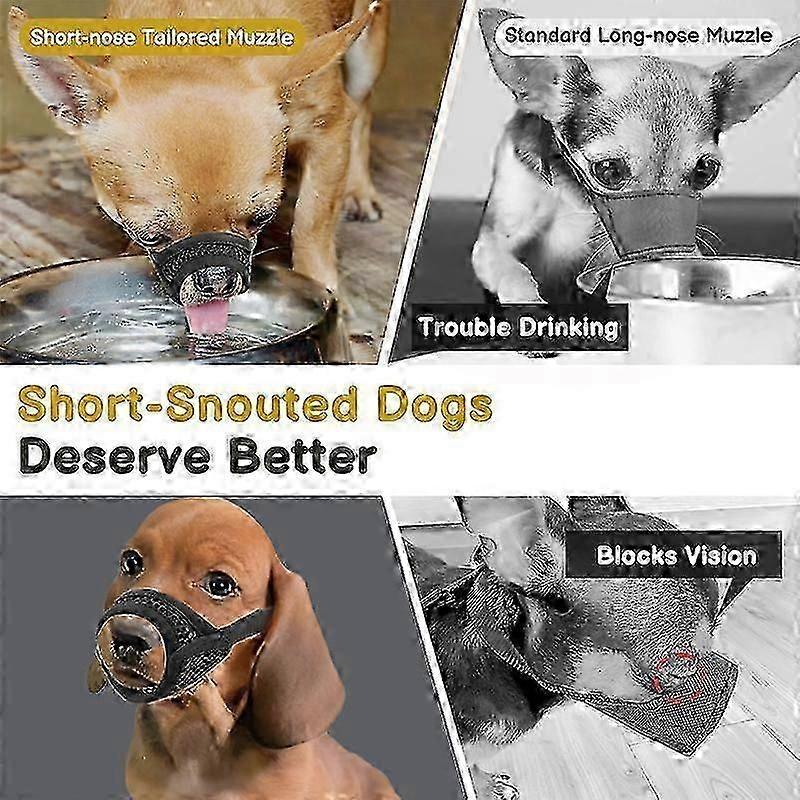 Gaas Snuit voor Honden met Korte Snuit - Anti-Bijten voor Kleine & Middelgrote Rassen Zoals Chihuahua, Pomeriaan, Brachycefale Honden