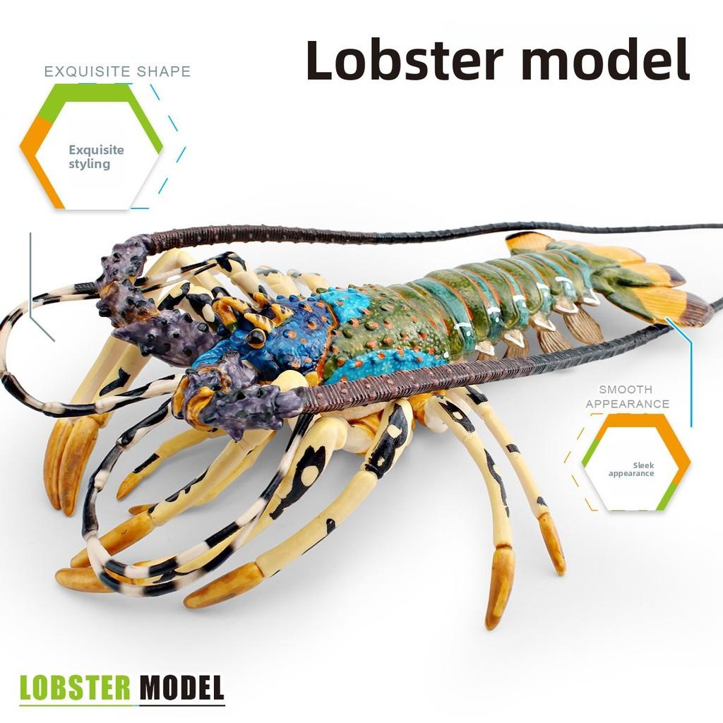 Pvc Childrens Marine Animal Model With Realistic Lobster Design For Educational Decor