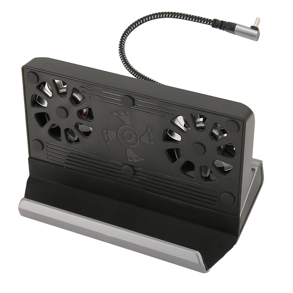 for Steam Deck Docking Station 10 in 1 for Rog Ally Dock with 5 USB 3.0 2.0 Dual Cooling Fan HD Multimedia Interface 4K