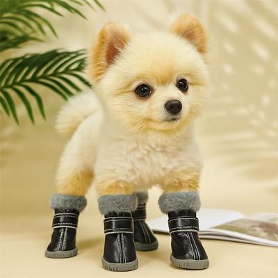 Bekleidung & Schuhe – Hundeschuhe