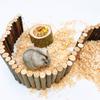 Random Shape Pet Hamster Fruit Wood Food Bowl Hamster Golden Bear Squirrel Food Bowl Log Gnawing Toy for Small Animals Food Bowl