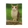 Internet Famous Meowl Cat Owl Meme Blanket Super Soft Velvet Lightweight For Sofa Bed Office Travel Picnic All Season