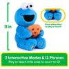 GUND Sesame Street Peekaboo Cookie Monster 6069780
