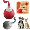 Interactive Cat Toys Ball Fast Rolling In Pouch Hide and Seek Kitten Toy Motion Activated Interactive Cat Toy for Indoor
