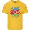 Torn Azerbaijan Flag Azerbaijani Day Football Unisexs Light Cotton TShirt