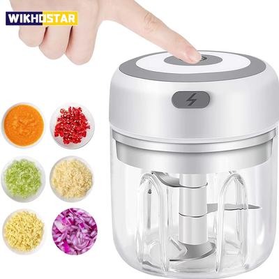 Electric Garlic Mincer 250ML Vegetable Chopper Food Chopper, USB Mini Garlic Mincer, Onion Chopper Portable Small Food Processor