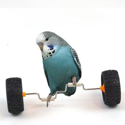 Brinquedos para Papagaios Alívio do Tédio Carro de Equilíbrio Suprimentos para Aves Pequenas e Médias Polia Skate Adereços para Treino de Habilidades Pássaro Xuanfeng