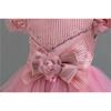 Toddler Princess Dress With Tail Puff Sleeve Elegant Party Dress For Girls Party Gown Wedding Dress For Girls Special Occasion Dress