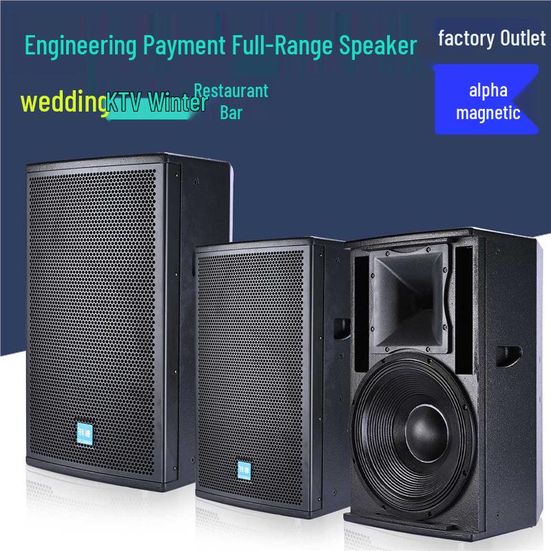 Professional High-Power 12-15 Inch Stage and Home Audio Subwoofer for KTV, Conference, Dance, and Cinema