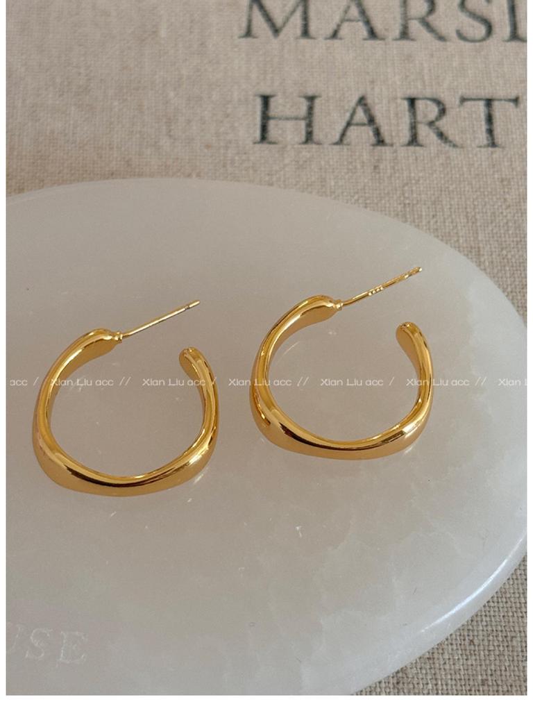 2025 High-End Light Luxury Metal Hoop Earrings - Unique Feminine Style