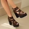 Women's High-heeled Sandals Spring and Summer New Sexy European and American Style Waterproof Table Thick-heeled Fish-mouth Shoes