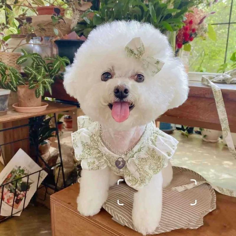 Cute Lace Bow Bunny Puppy Cat Leash Teddy Out Doggie Chest Strap Strap Leash