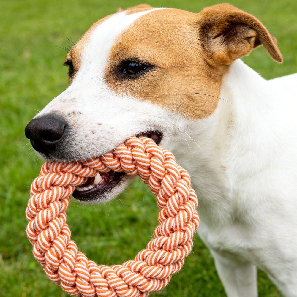 Teeth Cleaning Bite Resistant Dogs Cotton Rope Outdoor Wear Resistant Puppy Rope Knot Indoor Pet Molar Relieve Boredom
