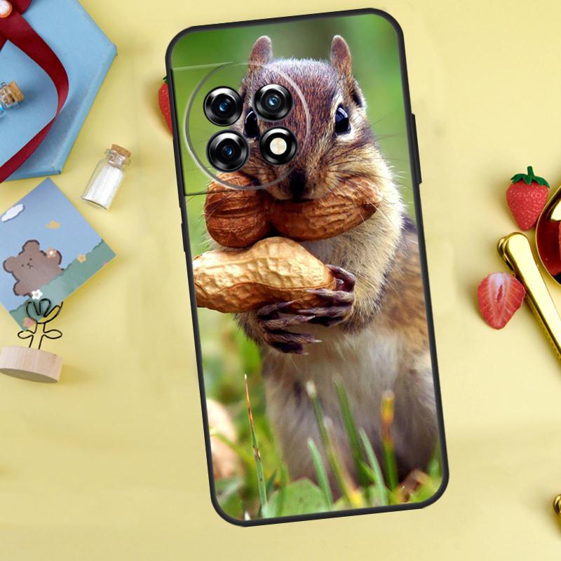Squirrel Cute Animals Case For OnePlus 13R 12R 13T 15 13 12 11 10 9 10R 10T 8T Nord 5 CE 4 2 3 Lite N20 N30 Cover