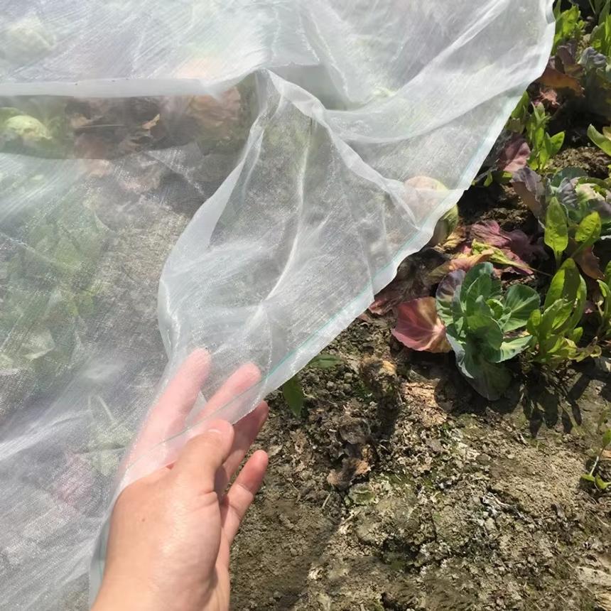 Gartenpflanze Insektenschutznetz Gemüse Blume Frucht Pflegeabdeckung Netz Gewächshaus Schutznetz Schädlingsbekämpfung Vogelabwehr