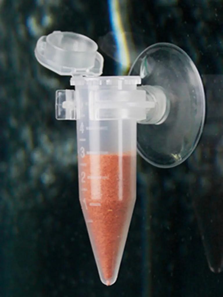 Automatischer Fischfutterspender Kegel Garnelenei Wurm Trichter Becher Fütterungswerkzeug Ring Zierbecken Aquarium Zubehör Mit Saugfuß