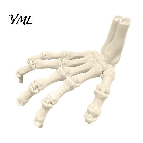 Decoraciones de Esqueleto de Plástico Duradero Manos de Halloween, Modelo de Huesos de Mano Impreso en 3D, Atrezzo Realista para Fiesta Garra de Hueso Espeluznante para Decoración del Hogar