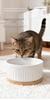 Heated Ceramic Pet Water & Yogurt Bowl for Cats & Dogs