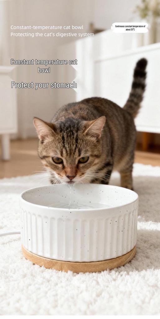 Heated Ceramic Pet Water & Yogurt Bowl for Cats & Dogs