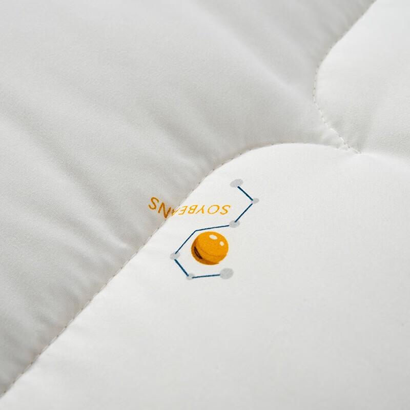 Mercury Cloud Comfort Soybean Winter Quilt