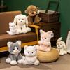 Bebek ve Peluş Oyuncaklar – Doldurulmuş ve Peluş oyuncak hayvanlar