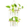 Retro Wood Frame Vase Wall Hanging Transparent Glass Vase Glass Planter Plant Vase  Office