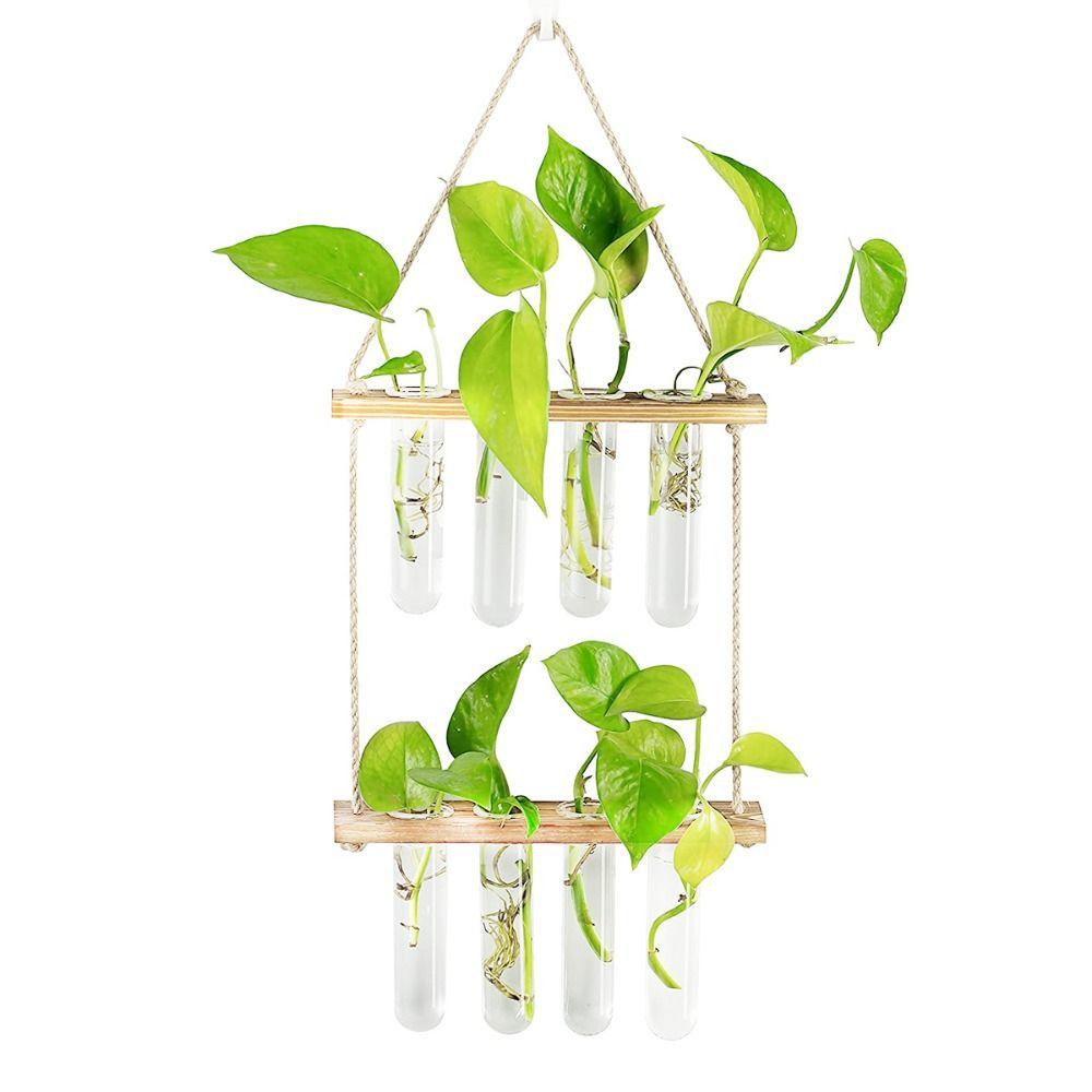 Retro Wood Frame Vase Wall Hanging Transparent Glass Vase Glass Planter Plant Vase  Office