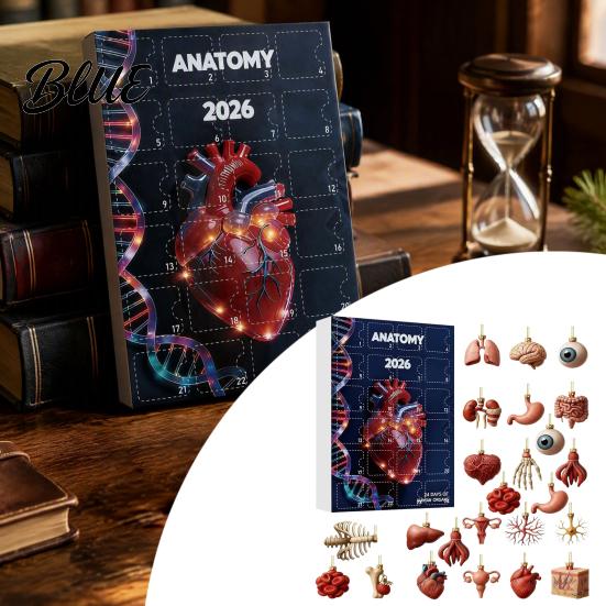 Human Organ Christmas Ornaments Anatomy Advent Calendars 2026 24 Days Organs Countdown Calendar 2D Body Science Kits Acrylic Parts Pendants