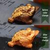 Temperature-Sensitive Color-Changing Golden Toad Tea Pet
