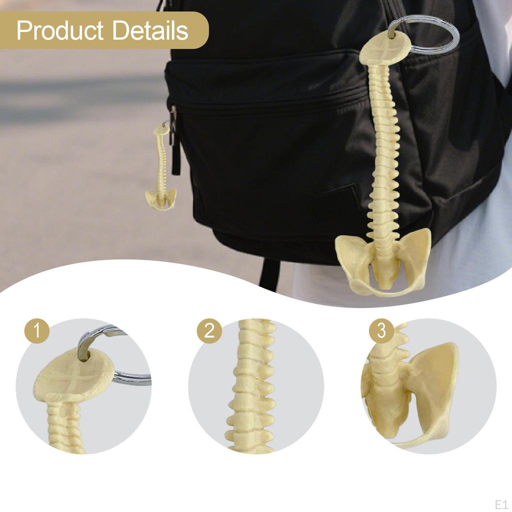 Human Spine Keychain Bag Charm PVC 15cm Handmade Small Lightweight Biology Key Pendant