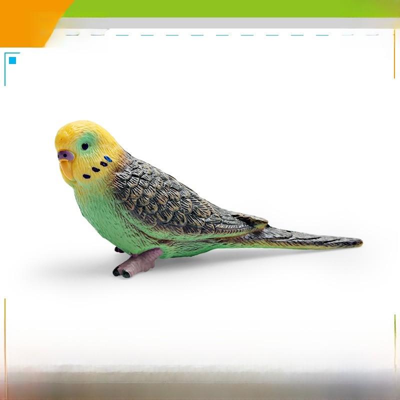 Wildlife Bird Simulation Pvc Model Parrot Toy For Children Educational Play