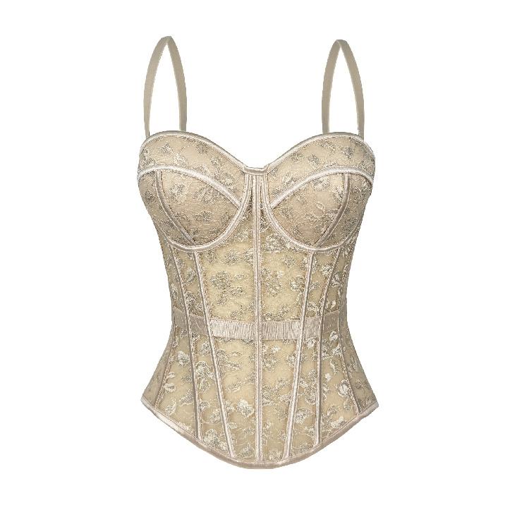 Corsets, roupas femininas elegantes e da moda