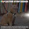 Ensemble Harnais et Laisse pour Chat de Petite à Grande Taille Harnais Gilet Réglable pour Chat Bordure Réfléchissante Laisse et Harnais Universels pour Chat