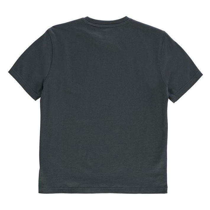 Tony Hawk Core T-Shirt for Boys, Charcoal, Size 7-8 Years
