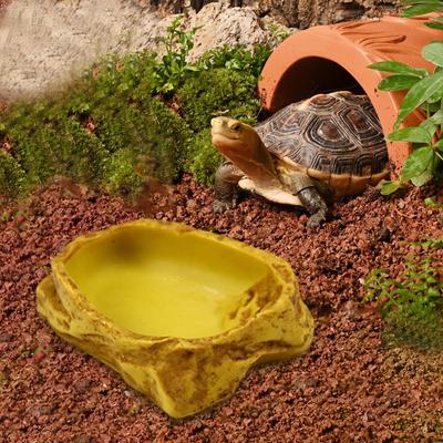 Sürüngen Su Kabı Teraryum Çanak Dekoratif Reçine Tank Dekor Besleyici Besleme