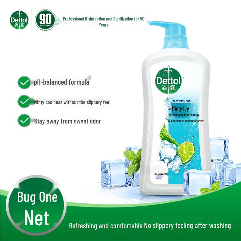 Dettol Mint Cool Shower Gel