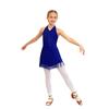 Girls Latin Dance Dress Sleeveless Shiny Fringe Dress Kids Tassel Skirted Leotard Party Dancewear