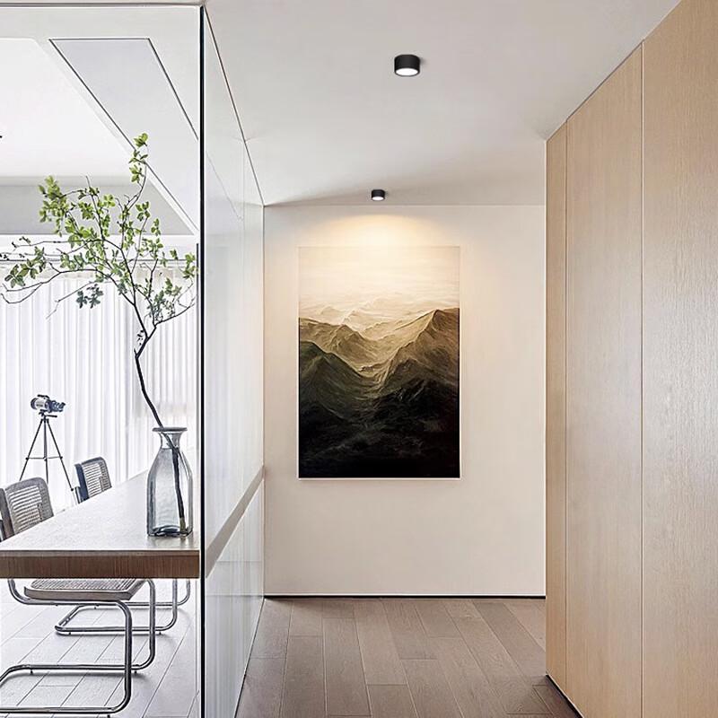 Xuanyong LED Rotatable Surface-Mounted Downlight