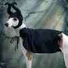 Pet Halloween Cloak Hat Witch Suit Cat Dog Transformer Costume Christmas Dress Up Pet Clothes