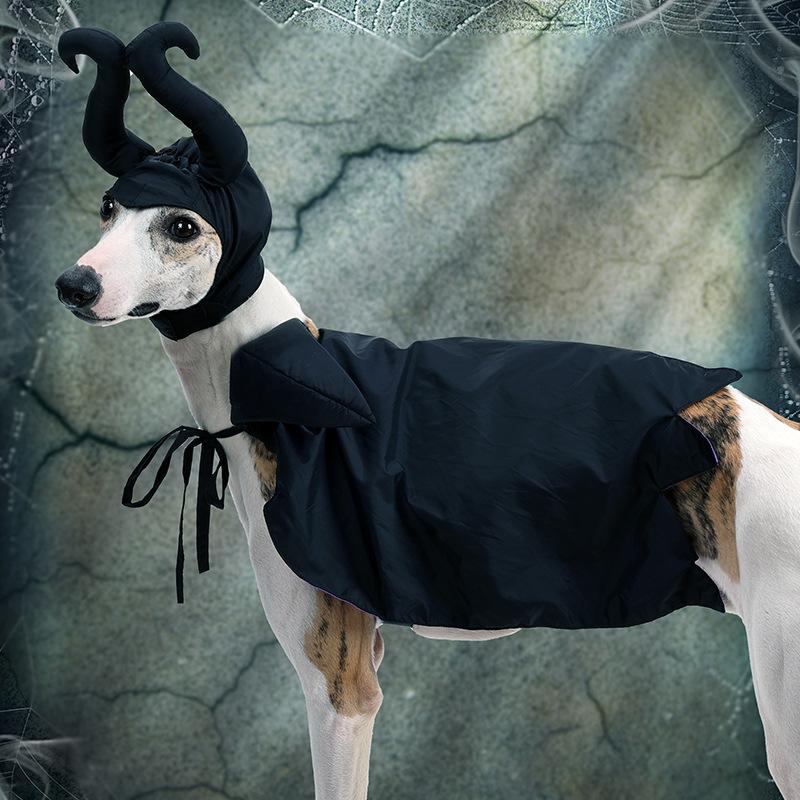 Pet Halloween Cloak Hat Witch Suit Cat Dog Transformer Costume Christmas Dress Up Pet Clothes