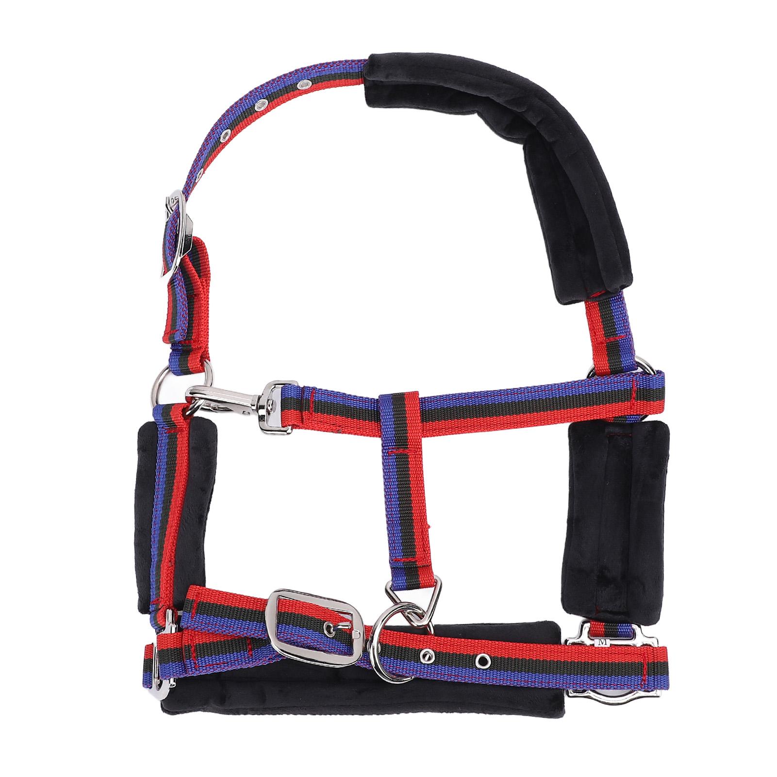 Horse Halter Wearproof Nylon Comfortable Adjustable Chin and Throat Snap Halter for Training Equestrian Medium Suitable for 1.1 - 1.3m / 3.6 - 4.3ft