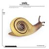 Kids' Educational Snail Garden Models & Miniature Landscape Ornaments