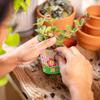 30pcs Biodegradable Seedling Flower Pots With Domes Handmade Garden Paper Craft Kit With 20 Sheets Stickers For Kids DIY Garden