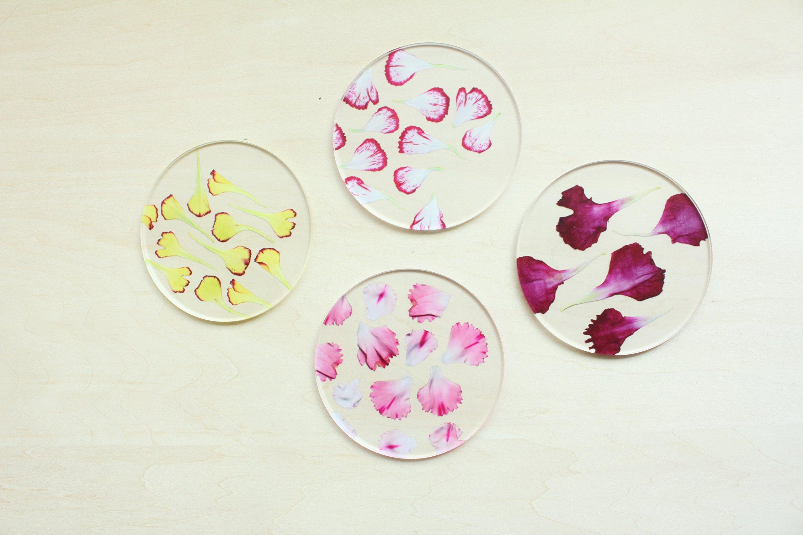 

toumei Pressed Carnation Set of Wooden Box Coasters, 4,