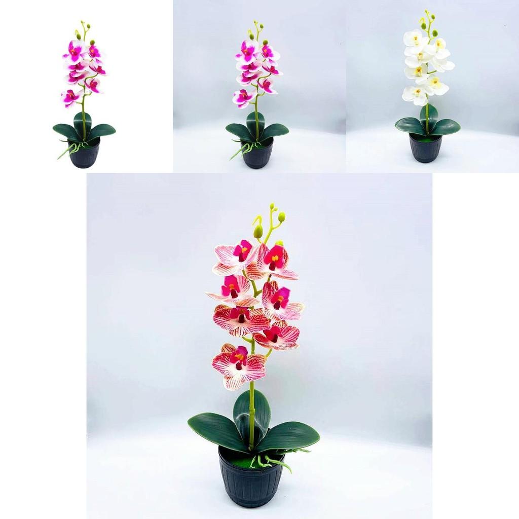 Phalaenopsis Aphrodite Rchb Decorative Fake Plant With Silk Flowers For Table Centerpieces And Gift