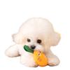 Cute Carrot Shaped Pet Toy, Squeaky Interactive Chew Toy for Dogs & Cats, Soft Teething Toy