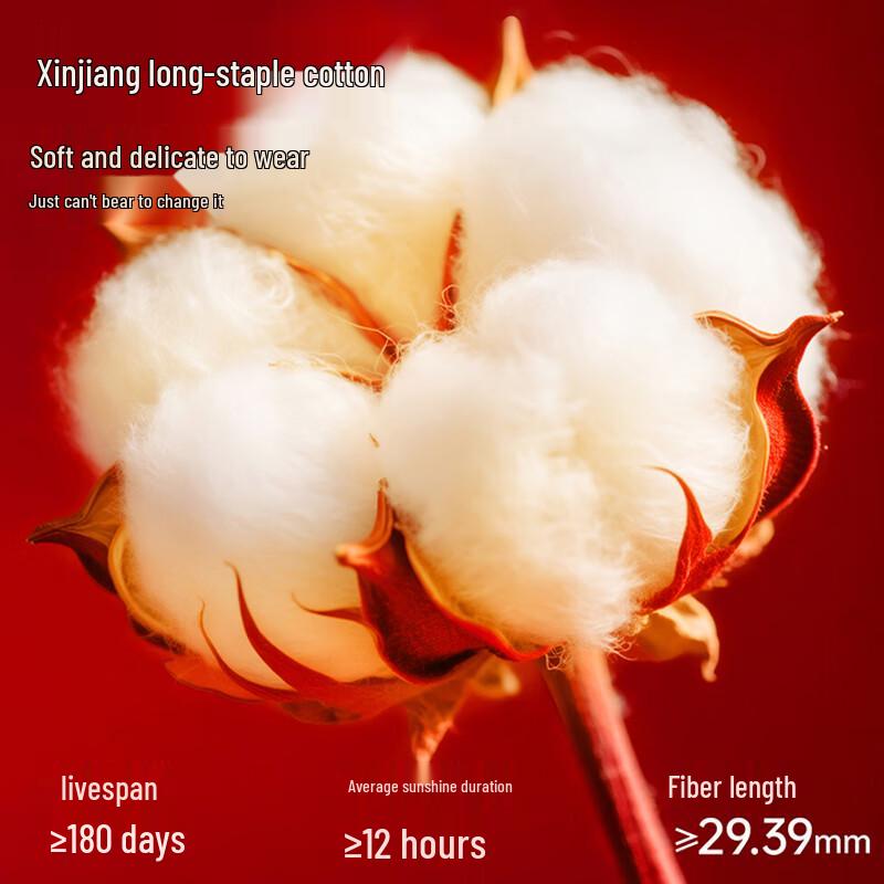 LangSha Men's Anti-Bacterial Breathable Loose Fit Boxer Briefs