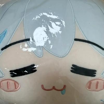 Unopened Isedol Goseg Face Cushion